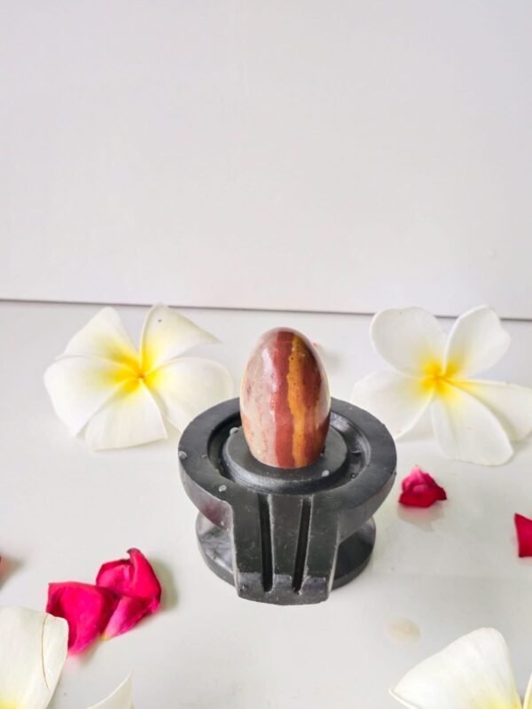 ardhnarishwar narmadeshwar shivling