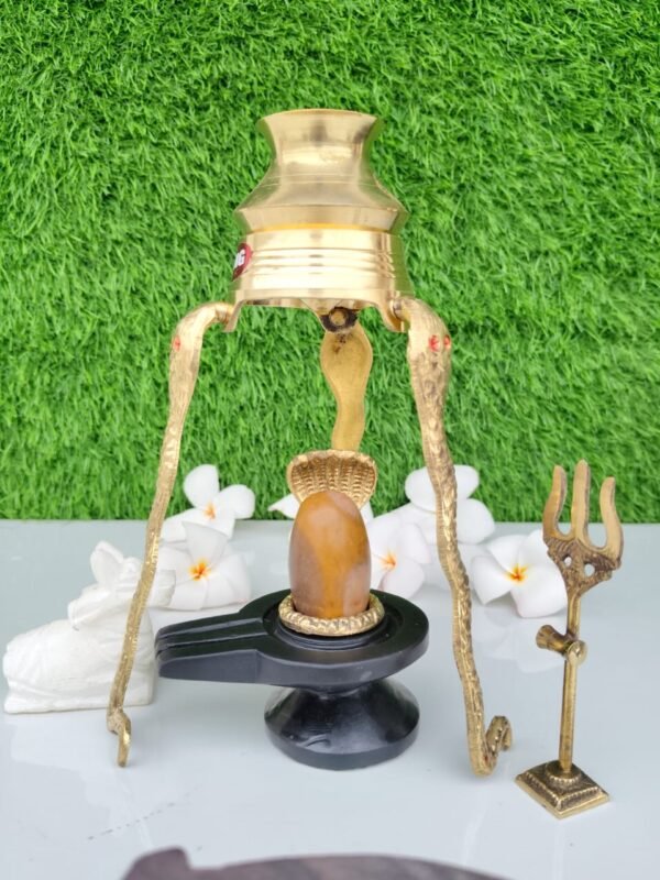 yellow tilak dhari narmadeshwar shivling