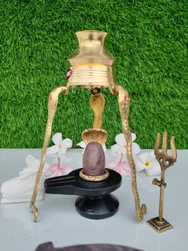 janeu dhari narmadeshwar shivling