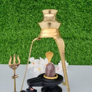 narmadeshwar shivling