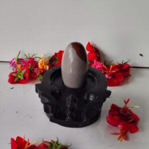 unique narmadeshwar shivling for home