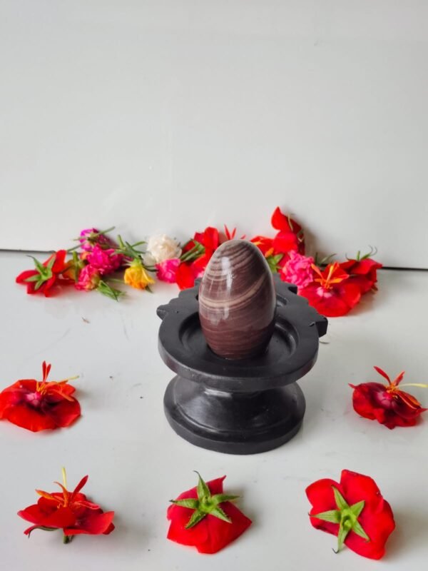 janeu dhari narmadeshwar shivling - Image 3