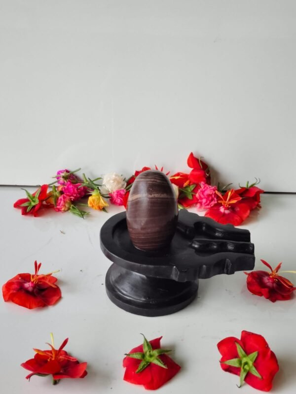 janeu dhari narmadeshwar shivling - Image 4