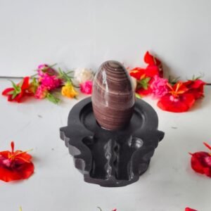 janeu dhari narmadeshwar shivling