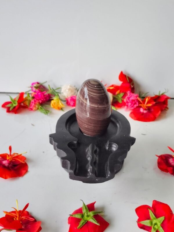 janeu dhari narmadeshwar shivling