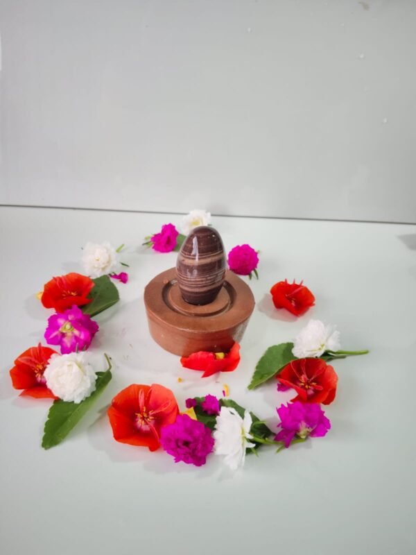 chandrakar tilak narmadeshwar shivling - Image 3