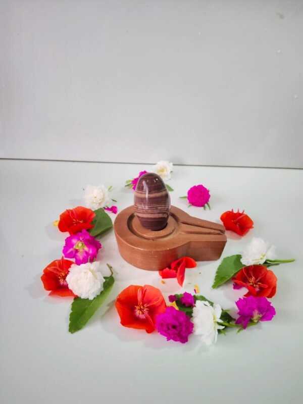 chandrakar tilak narmadeshwar shivling - Image 4