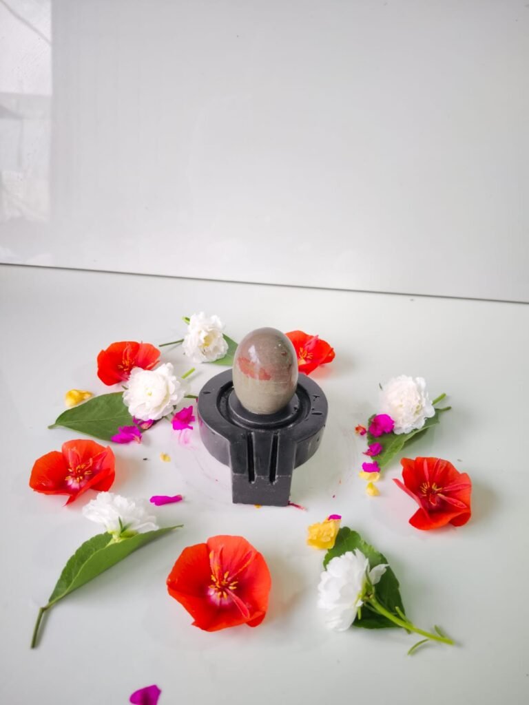 chandrakar akrati narmadeshwar shivling