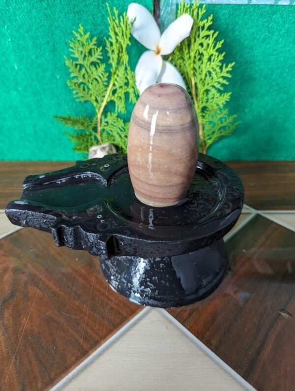 janeu narmadeshwar shivling