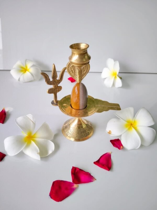 ardhnarishwar narmadeshwar shivling for home puja