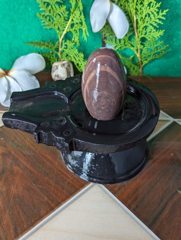 narmadeshwar shivling for temple