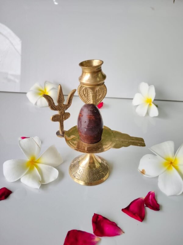 narmadeshwar shivling for home complate set nag trishul kalas