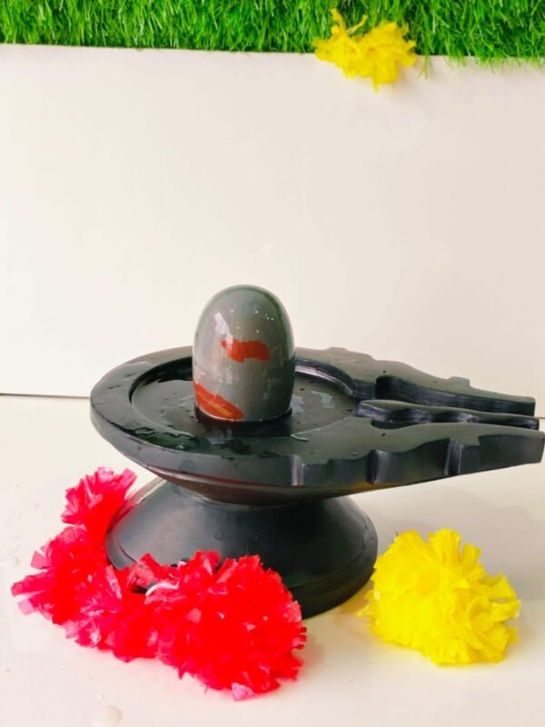 original Narmadeshwar Narmada Shivling for Home Pooja