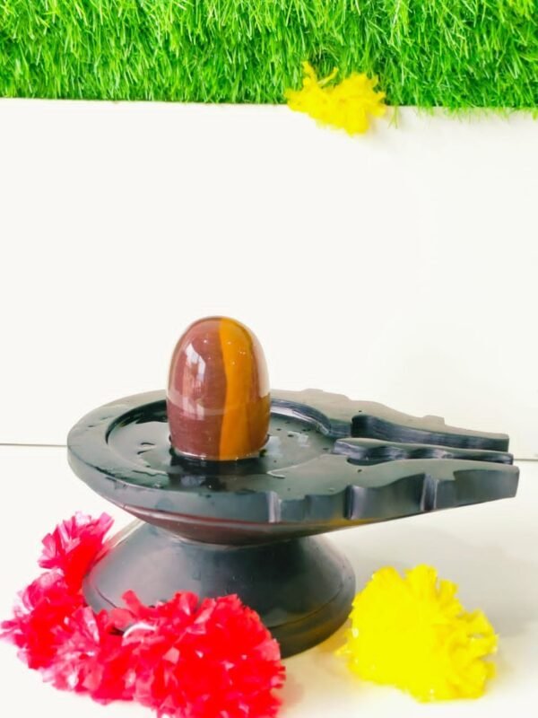 ardhnarishwar narmadeshwar shivling for home puja