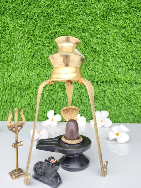 janeu dhari narmadeshwar shivling