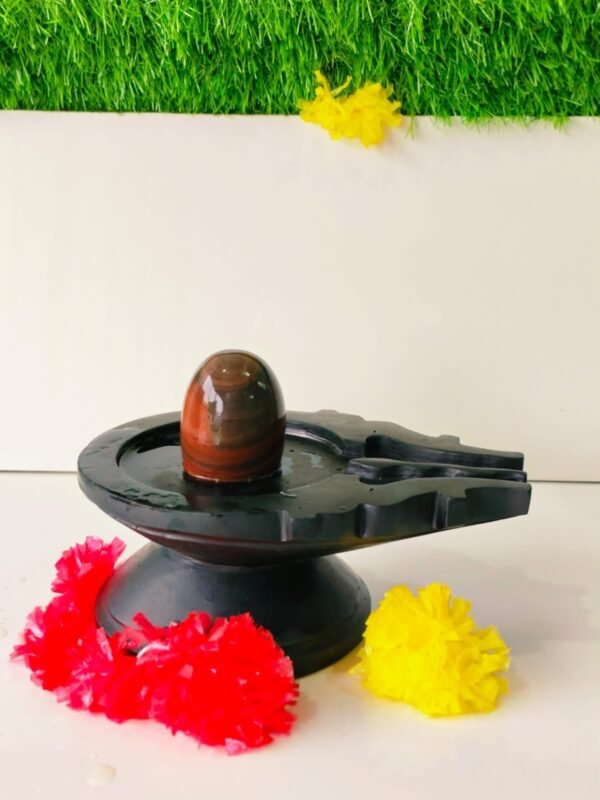 unique narmadeshwar shivling