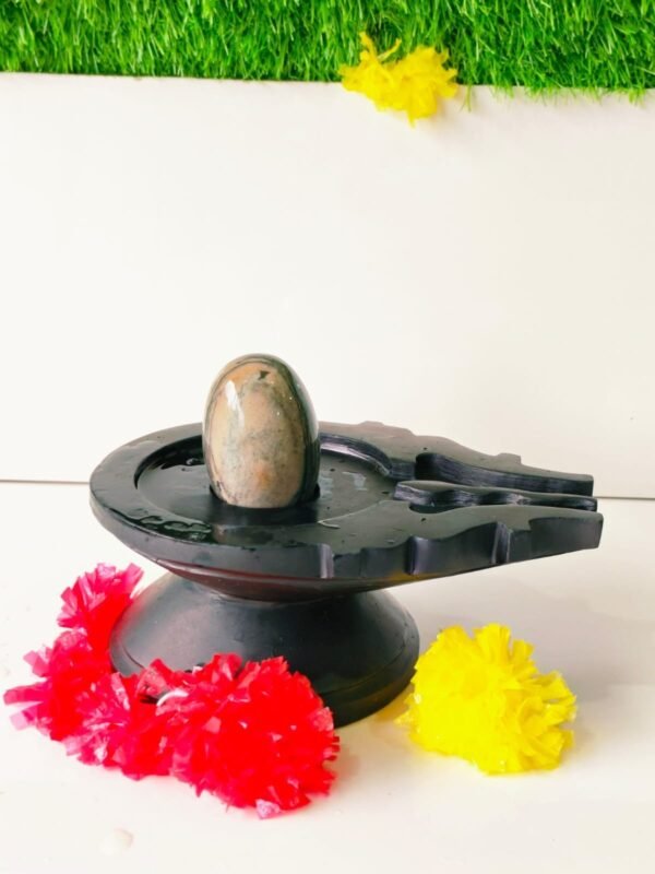 janeu dhari narmadeshwar shivling