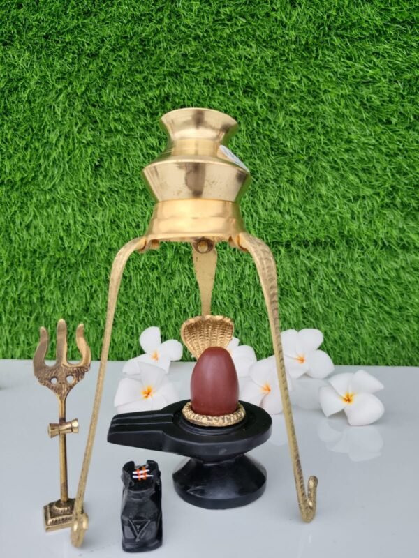 original unique narmadeshwar shivling