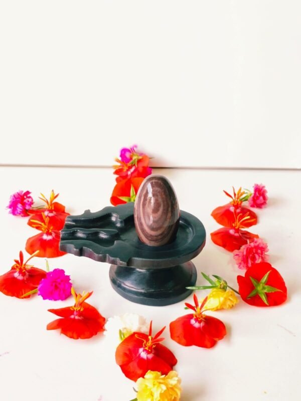 janeu dhari narmadeshwar shivling for home worship - Image 2