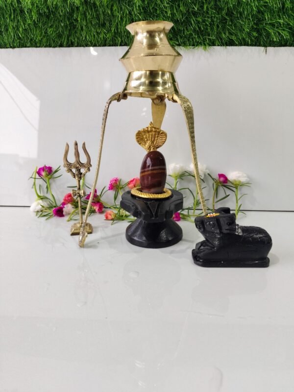 janeu dhari full set shivling for home