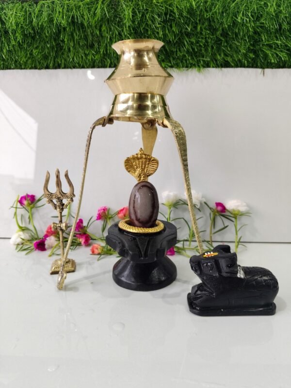 janeu dhari narmadeshwar shivling for home