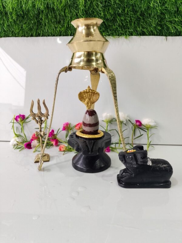 janeu dhari narmadeshwar shivling for home puja