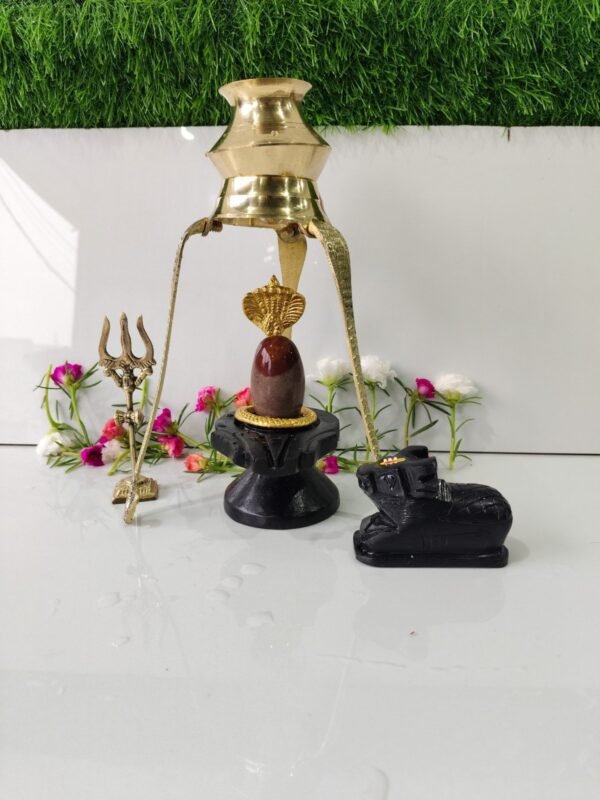 original tilak dhari narmadeshwar shivling for home full set