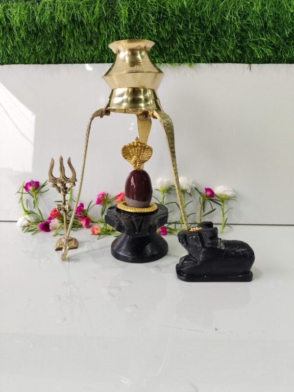 tilak dhari narmadeshwar shivling full set