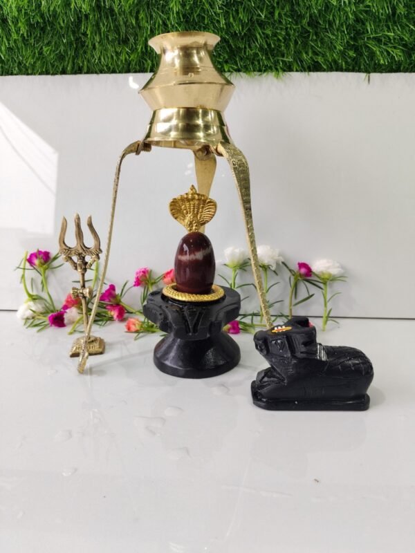 tilak dhari narmadeshwar shivling full set