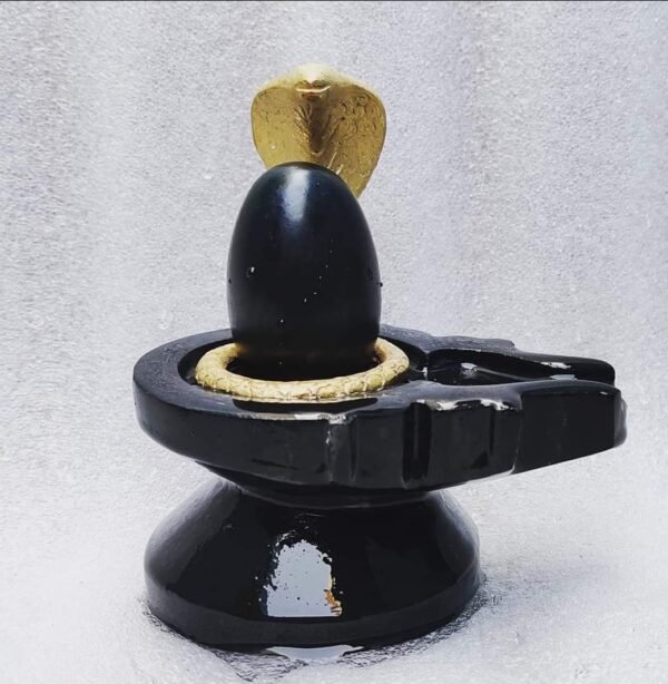 black narmdeshwar shivling - Image 2