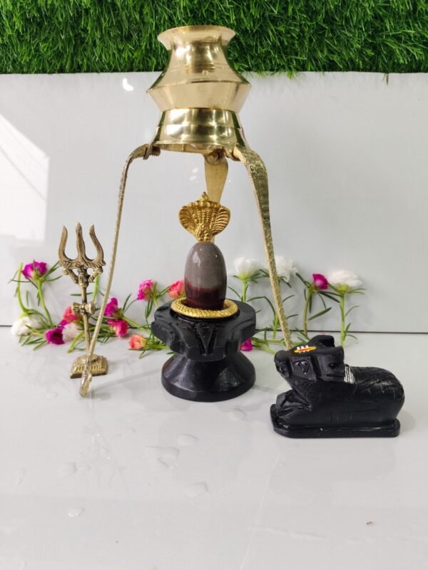 narmadeshwar shivling for home full set