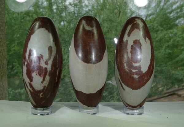 narmada bana lingam - Image 2