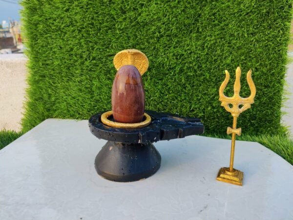 natural narmadeshwar shivling - Image 5