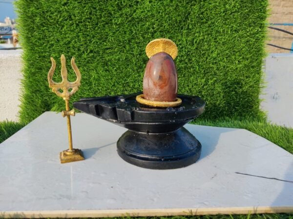 natural narmadeshwar shivling - Image 3