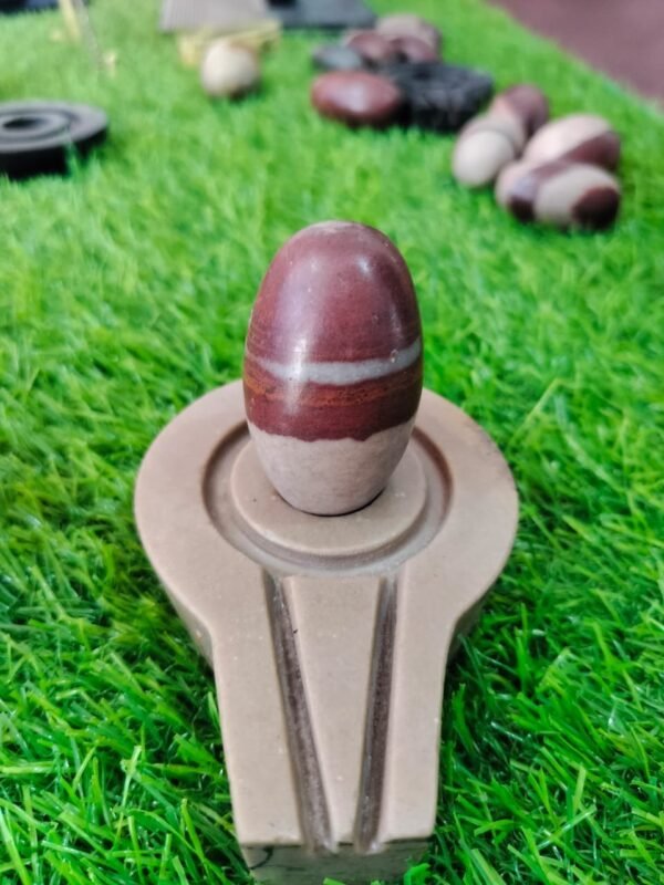 Tripund Dhari Narmada Shivling