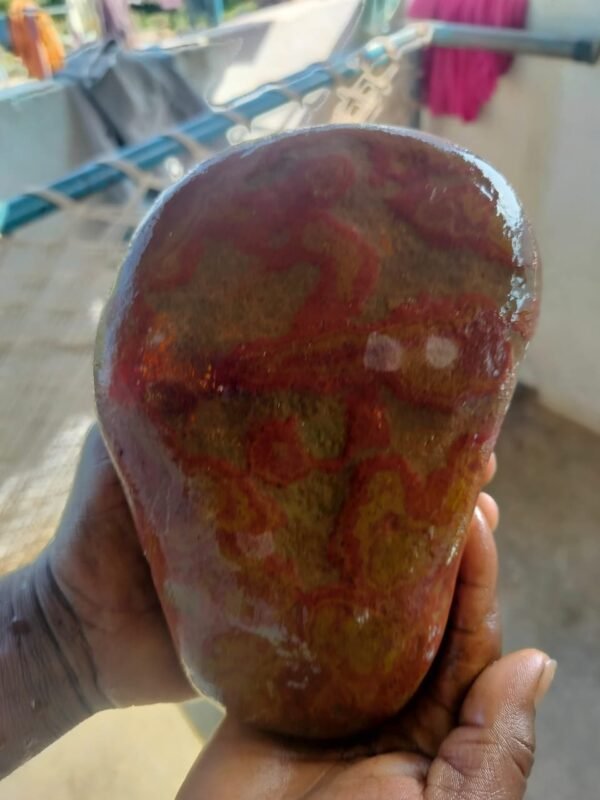 om narmadeshwar shivling