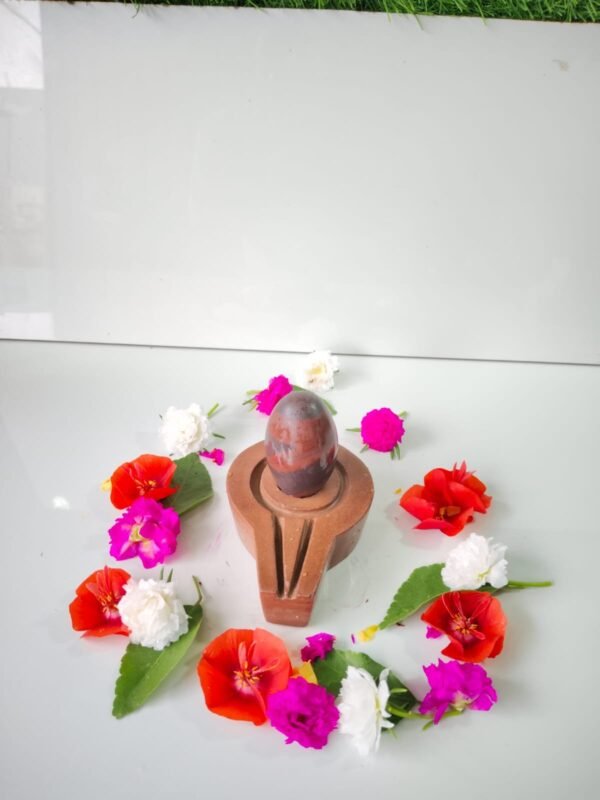 Original tilak dhari narmadeshwar shivling