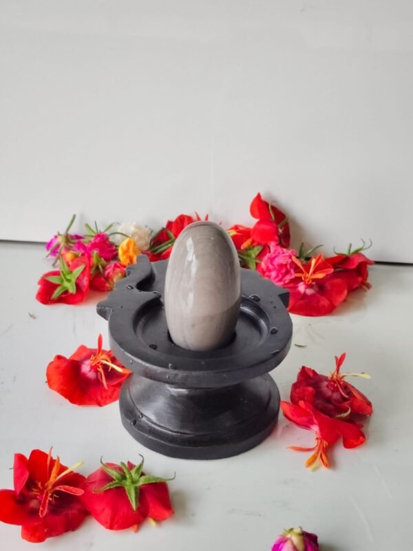 original unique narmadeshwar shivling for home puja - Image 3