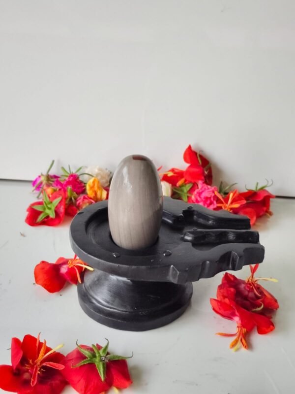 original unique narmadeshwar shivling for home puja - Image 4