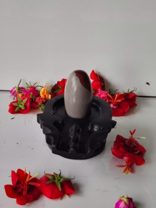 original unique narmadeshwar shivling for home puja