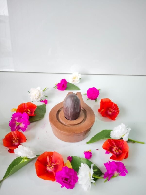 Janeu dhari shivling for home - Image 3