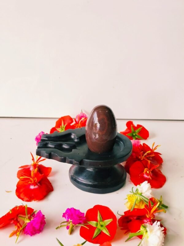 narmadeshwar shivling for tripund nag jaladhari - Image 2