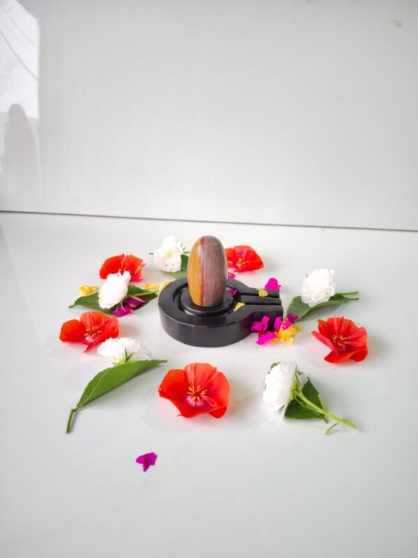 Original ardhnarishwar narmadeshwar shivling for home