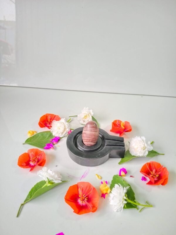 janue dhari narmadeshwar shivling for home puja - Image 4