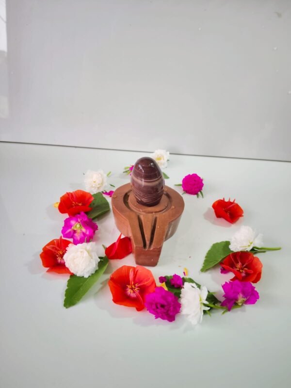 chandrakar tilak narmadeshwar shivling