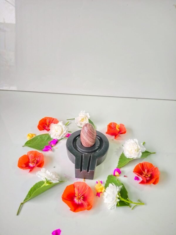 janue dhari narmadeshwar shivling for home puja