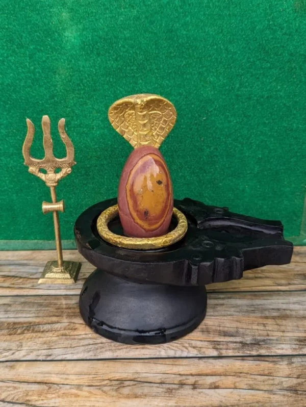 natural narmadeshwar shivling
