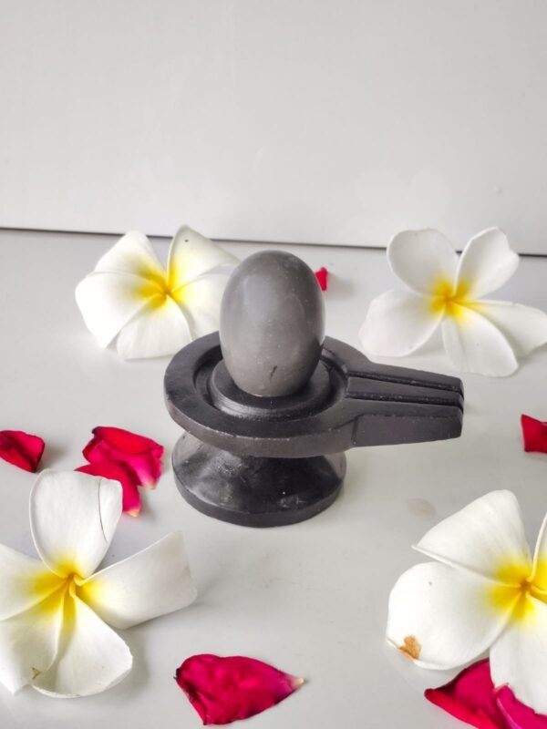 tilak dhari narmadeshwar shivling for home puja - Image 2