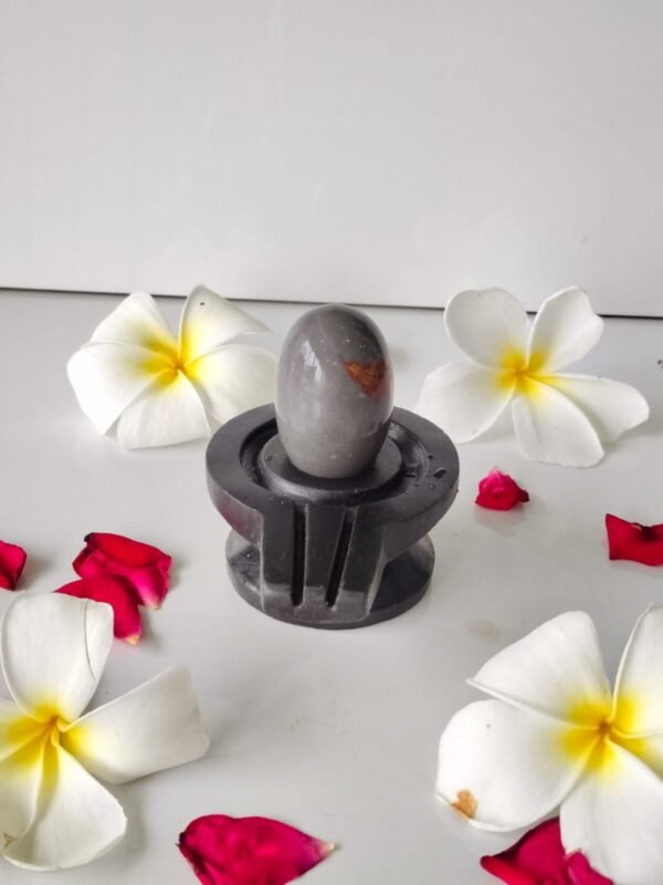 tilak dhari narmadeshwar shivling for home puja