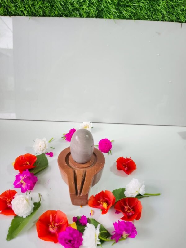 white tilak dhari narmadeshwar shivling for home